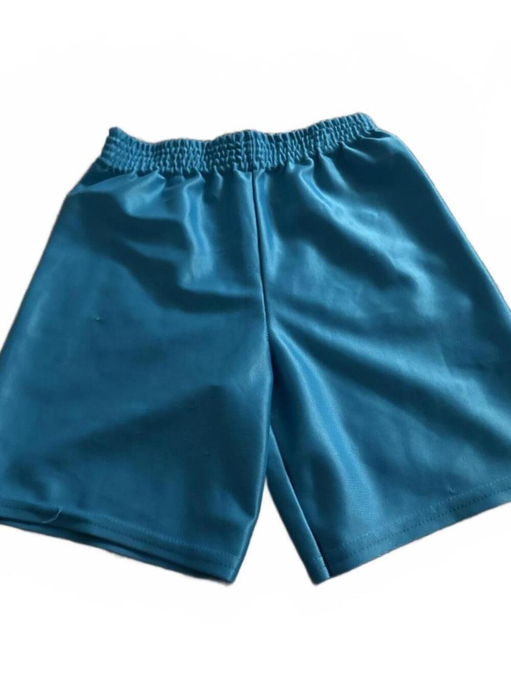 Garanimals Kids Shorts 4T Turquoise Polyester Casual